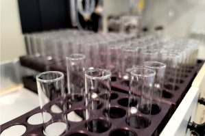 A photo of open empty test tubes in racks