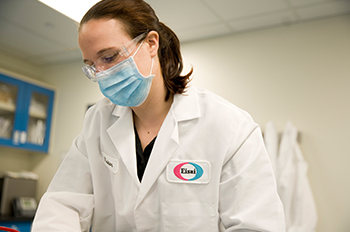 An overhead shot of a female scientist transferring bacteria to a blood cell culture plate